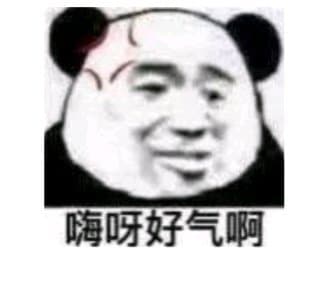 ,金馆长熊猫头,生气,