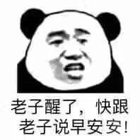 老子醒了快跟老子说早安安 