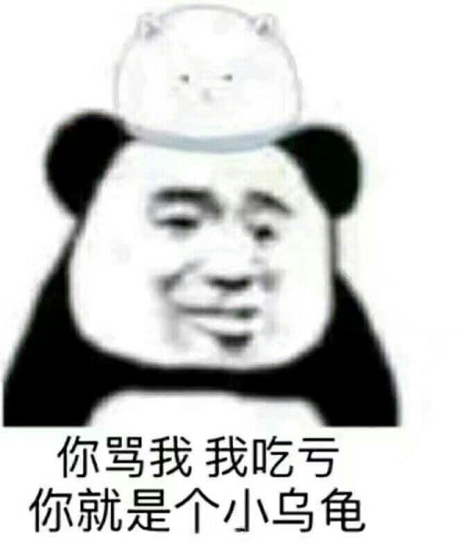 你骂我我吃亏你就是个小乌龟 