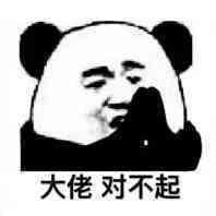 大佬对不起 