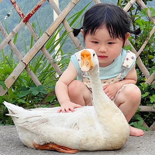 ,可爱,瑶一瑶小肉包,萌娃,头像