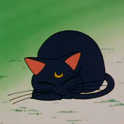 ,美少女战士,猫,头像
