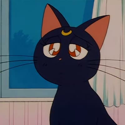 ,美少女战士,猫,头像