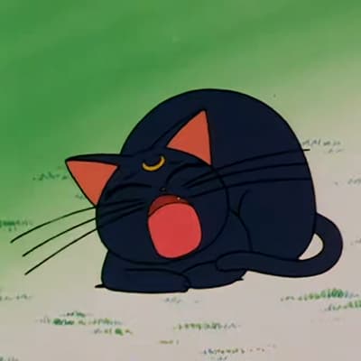 ,美少女战士,猫,头像