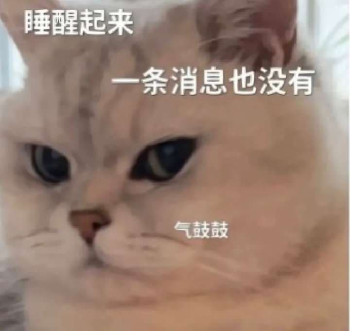 睡醒起来一条消息也没有气鼓鼓 