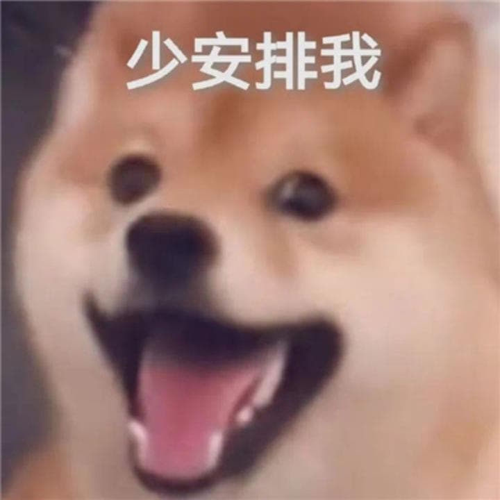 少安排我 