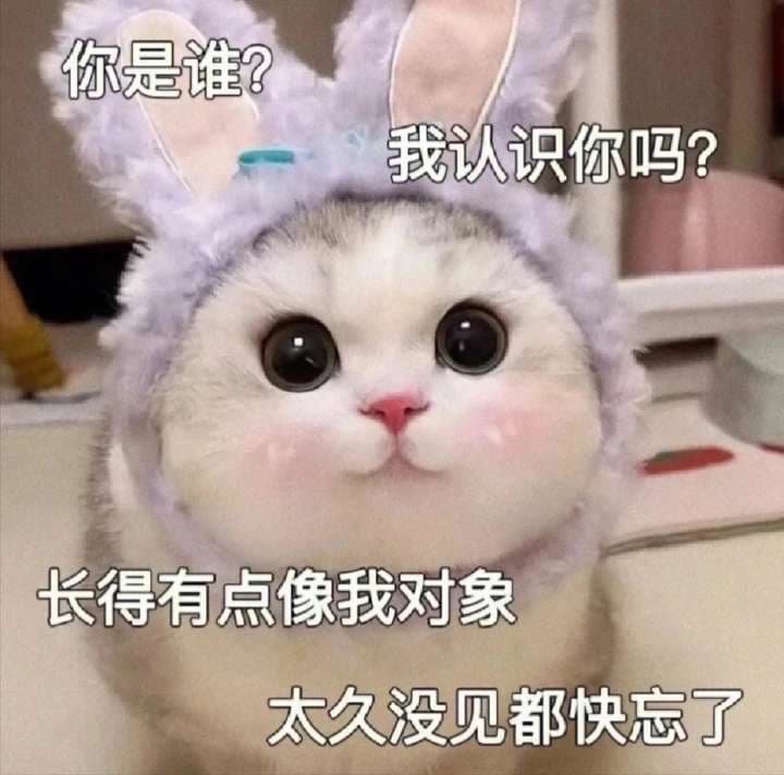 你是谁我认识你吗长的有点像我对象太久没见都快忘了 