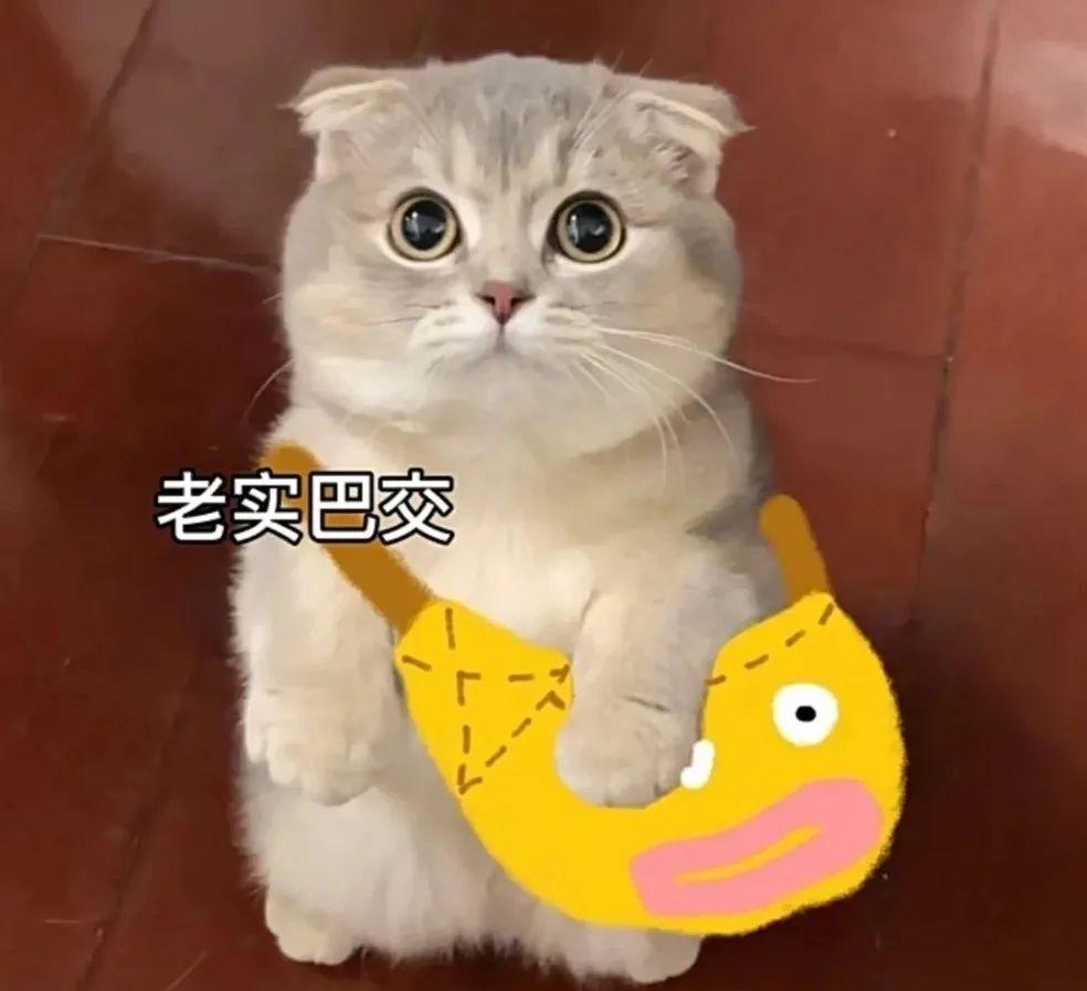 老实巴交 