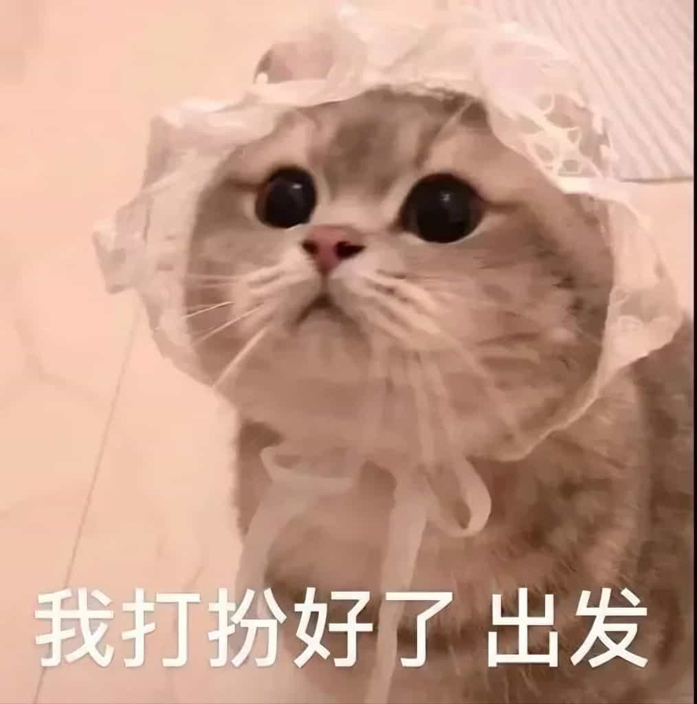 我打扮好了出发 