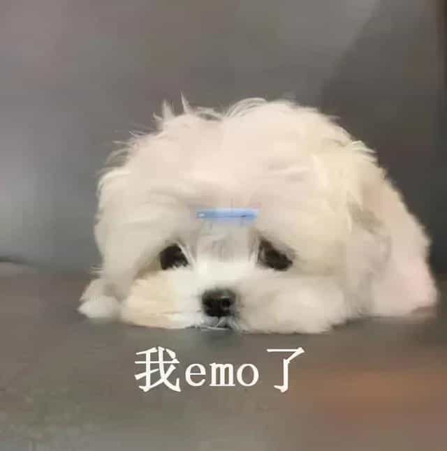 我emo了 