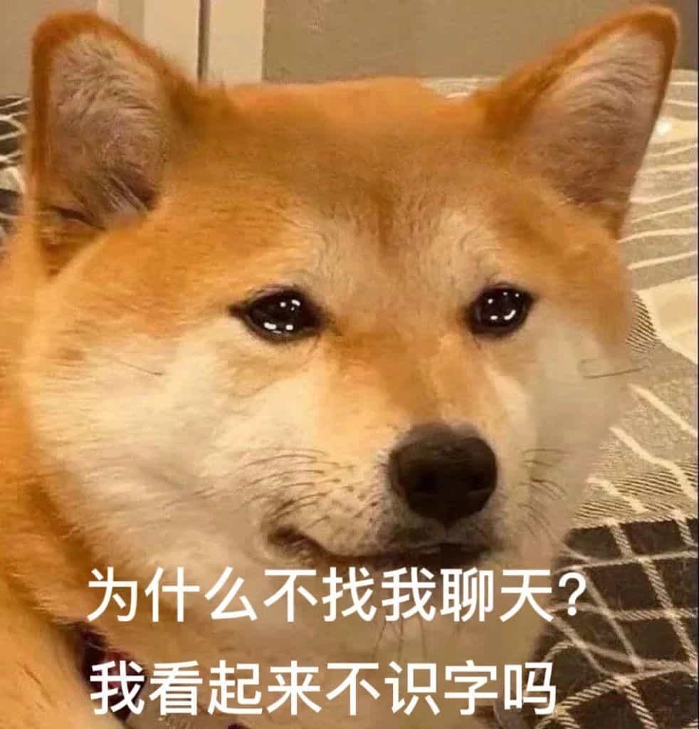 为什么不找我聊天我看起来不识字吗 