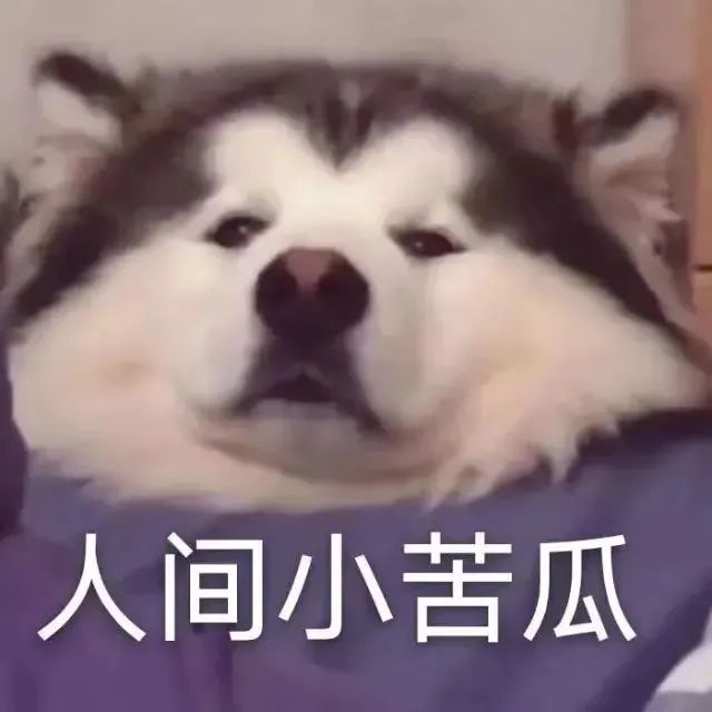 人间小苦瓜 