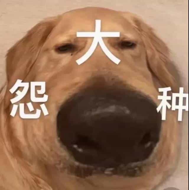 大怨种 