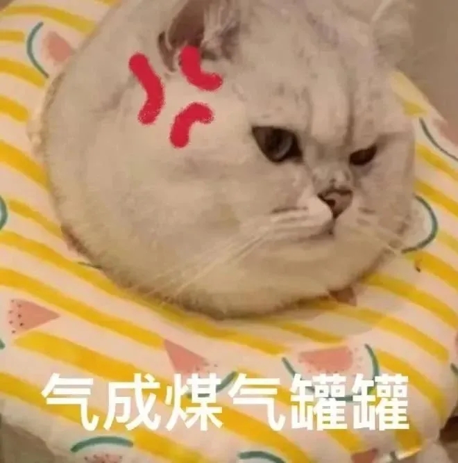 气成煤气罐罐 