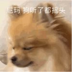 ,挑衅,怼人,无语,狗,
