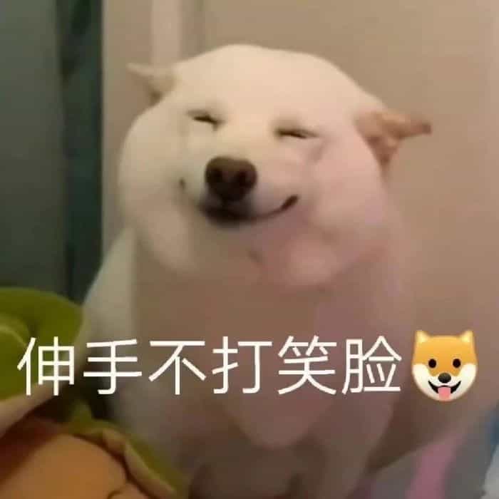 ,搞笑,沙雕,抱大腿,狗,