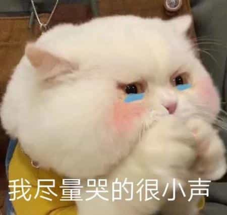 我尽量哭的很小声 