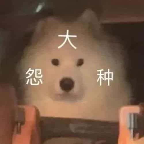 大怨种 