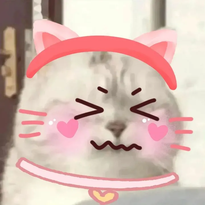 ,生气,难受,猫,