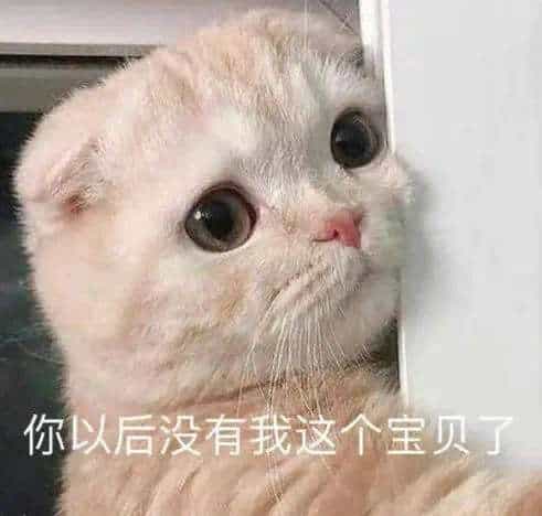 你以后没有我这个宝贝了 