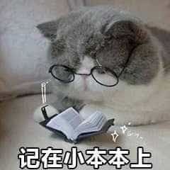 记在小本本上 