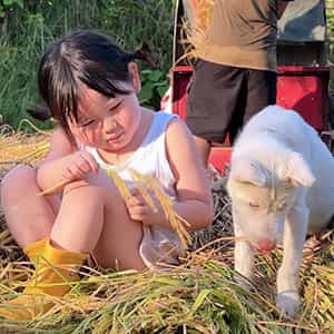 ,瑶一瑶小肉包,萌娃,头像