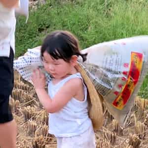 ,瑶一瑶小肉包,萌娃,头像